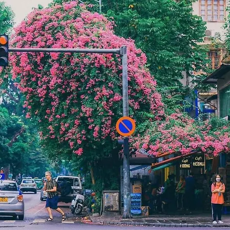 Tropical Land Little Hanoi Homestay Exterior photo