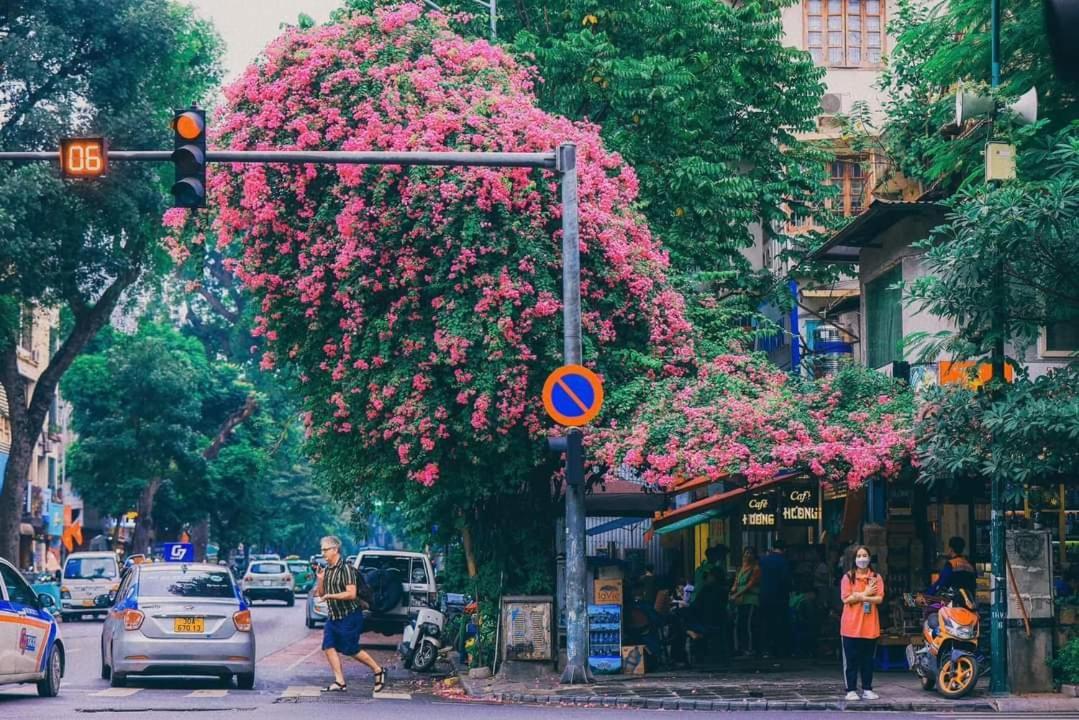 Tropical Land Little Homestay Hanoi